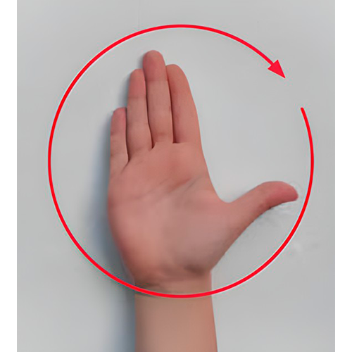 Se hace una letra l con los dedos medio,
                        anular y meñique estirados, y se mueve en
                        círculo.
